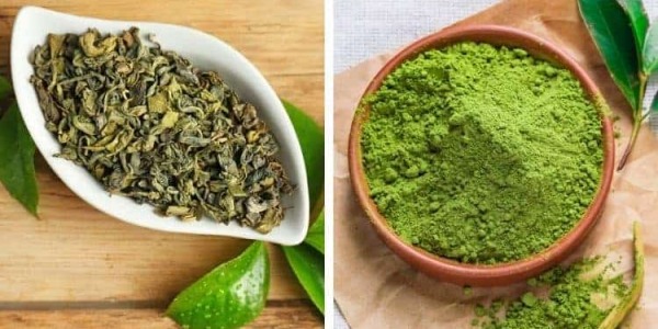 The Differences Between Matcha Tea and Common Green Tea: Origin, Cultivation, Processing, and Properties